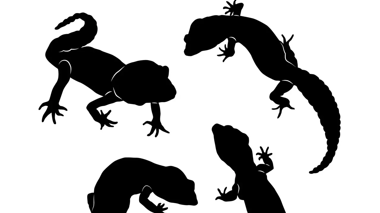 Ilustrasi Cicak