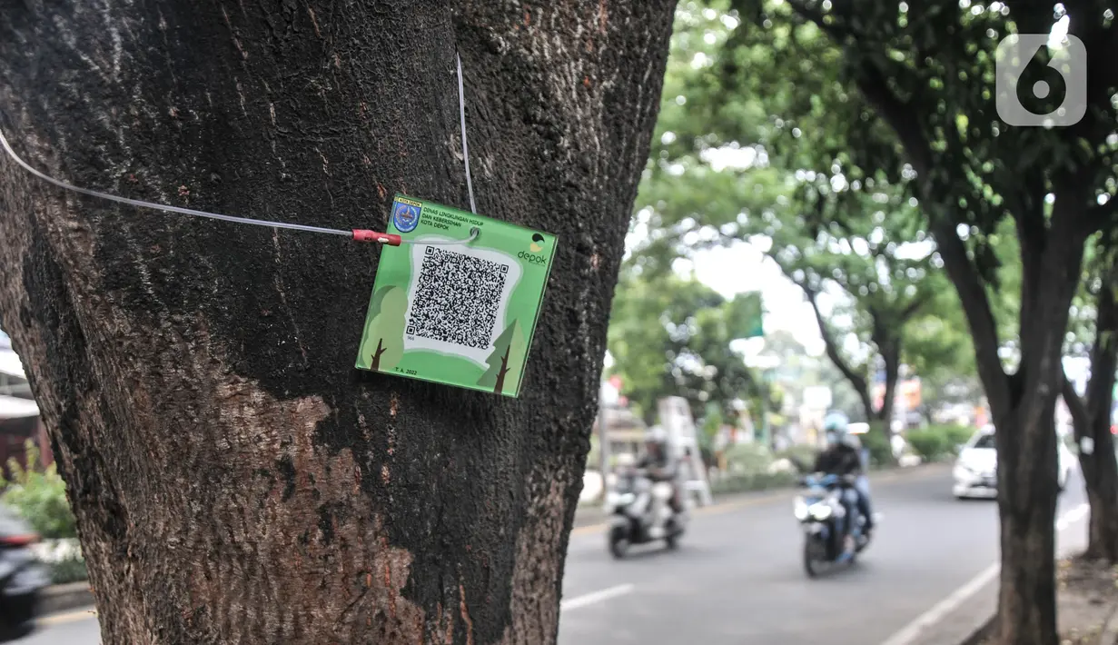 Warga memindai "QR code" yang terpasang pada salah satu pohon di Jalan Ir H Juanda, Depok, Jawa Barat, Minggu (27/11/2022). Pemerintah Kota Depok memasang "QR code" pada 1.500 pohon perindang di Jalan Margonda Raya dan Jalan Ir H Juanda dengan total anggaran Rp49 juta untuk mengedukasi warga dengan informasi berupa nama pohon, nama ilmiah, umur maksimal, tinggi, lokasi, daya serap CO2 dan kode pohon untuk pendataan. (merdeka.com/Iqbal S. Nugroho)