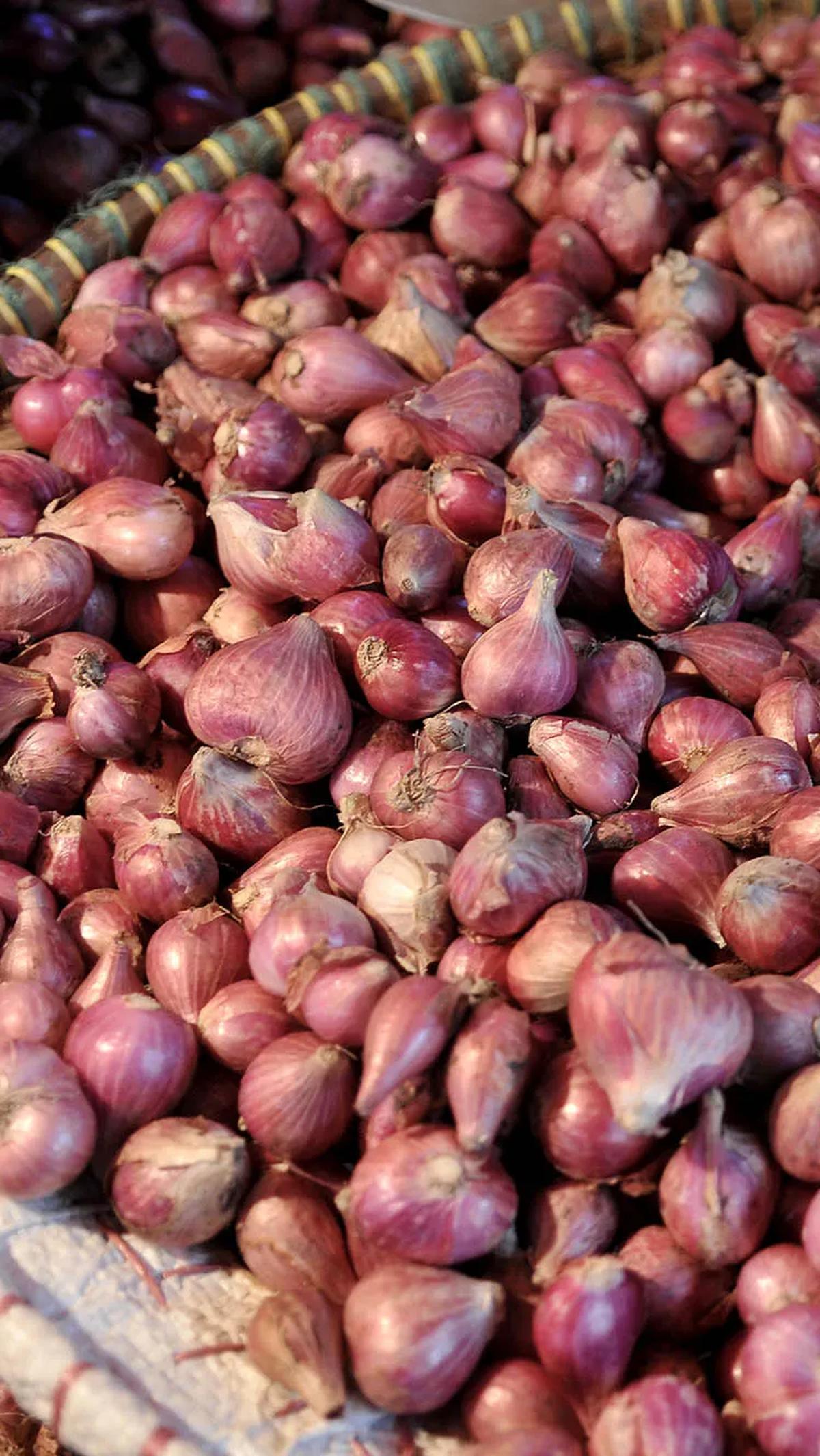 Namun, dengan pemahaman yang benar, penggunaan bawang merah sebagai obat tradisional dapat menjadi alternatif yang efektif dan alami.