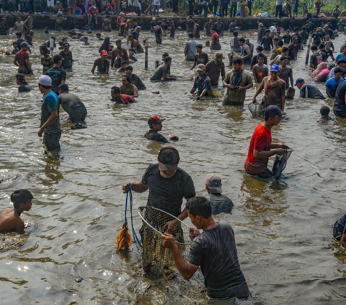 Ratusan warga berebut menangkap ikan menggunakan tangan selama Tradisi Ngubek Empang di Cilodong, Depok, Jawa Barat, Kamis (16/05/2024). Tradisi Ngubek Empang ini merupakan bagian dari rangkaian kegiatan perayaan Lebaran Depok  2024. Foto: Merdeka.com/