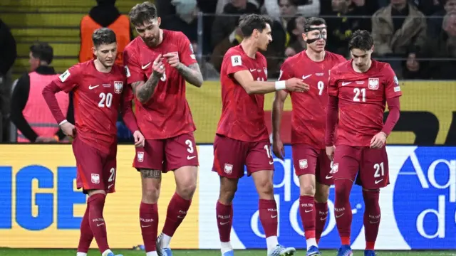 Timnas Polandia