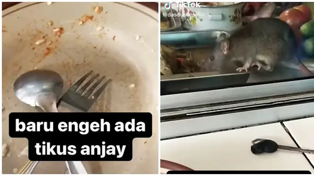 6 Momen Apes Temukan Tikus di Makanan Ini Bikin Mual, Jadi Hilang Nafsu