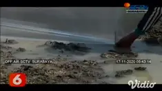Hama tikus merusak persemaian bibit padi para petani di sejumlah wilayah kabupaten Bojonegoro, Jawa Timur. Memasuki awal musim tanam tahun ini, hama tikus yang mewabah dan sulit ditanggulangi.
