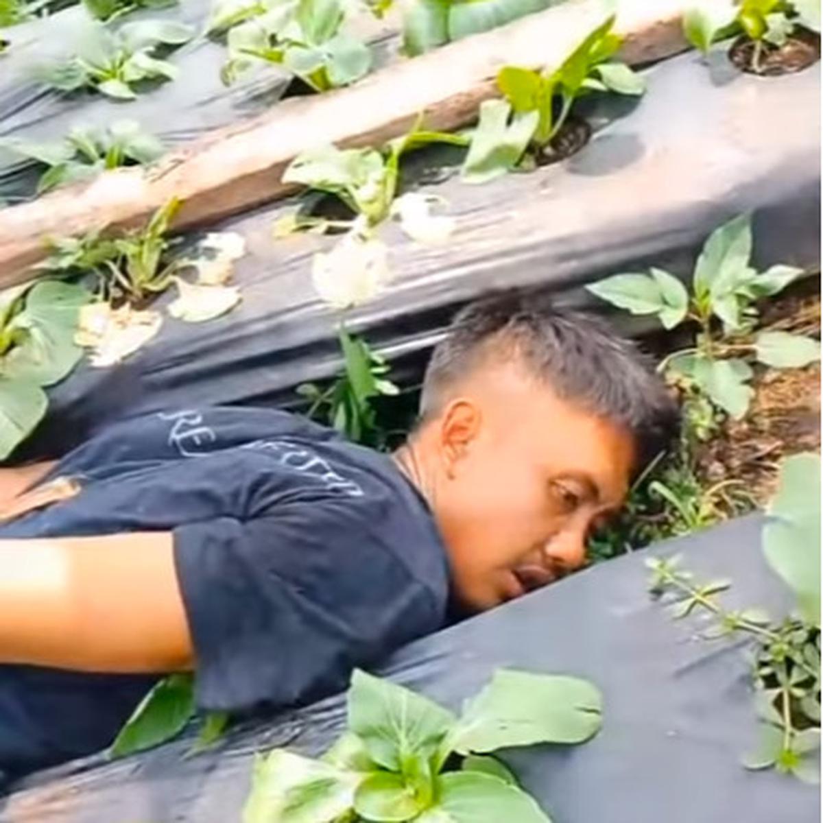 pelaku begal