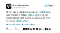 Aplikasi BBM Segera Sambangi Windows Phone?