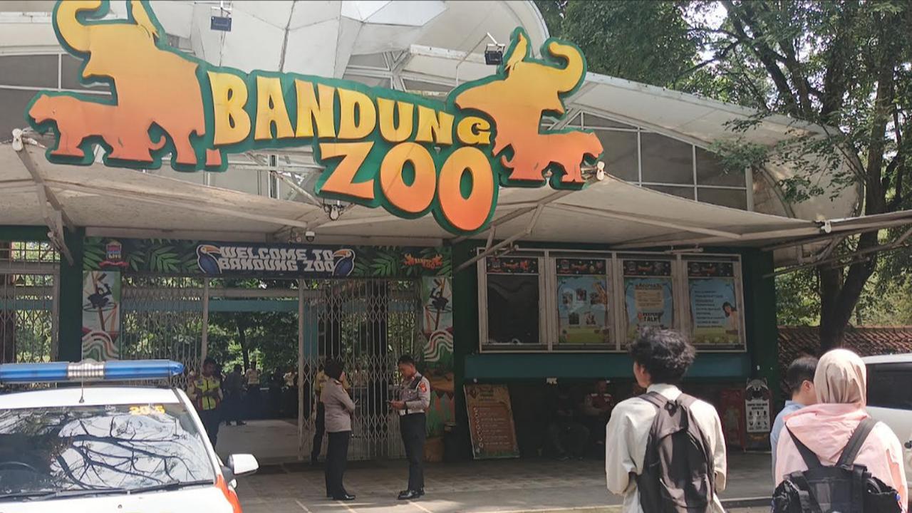 Ancam Evaluasi Izin Konversi, Farhan Murka Internal Bandung Zoo Berantem Terus: Capek Ngurusnya!
