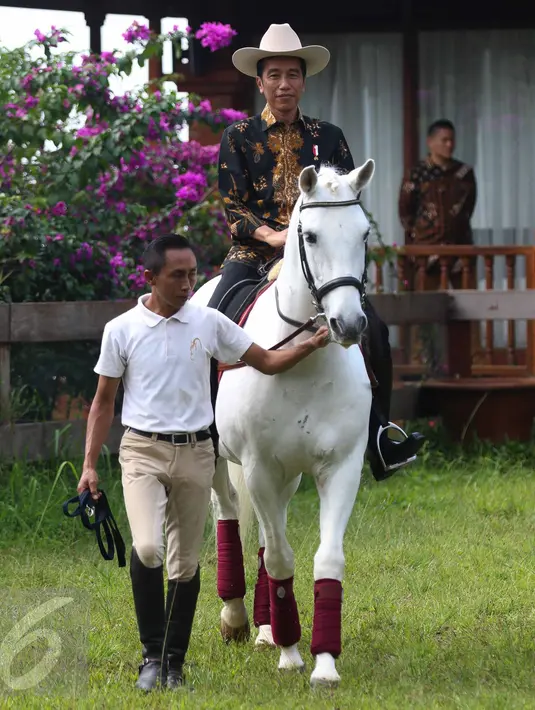 Presiden Jokowi dibantu seseorang ketika menunggangi kuda di halaman kediaman Ketua Umum Partai Gerindra Prabowo Subianto di Hambalang, Bogor, Senin (31/10). Keduanya usai melakukan pertemuan tertutup selama hampir 2 jam. (Liputan6.com/Faizal Fanani)