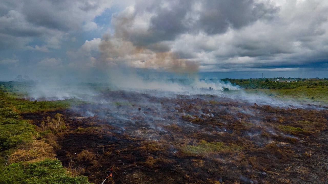 FOTO: Semangat Petugas BPBD Aceh Barat di Tengah Sulitnya Memadamkan Api di Hutan Gambut