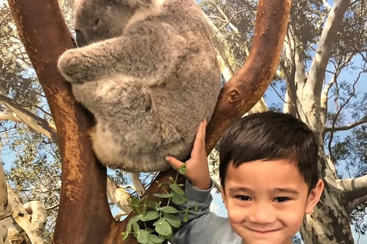 Rafathar Malik Ahmad