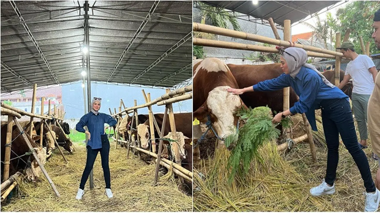 Jelang Hari Raya Idul Adha, Ini 6 Potret Delia Septianti Kini Semangat Jualan Sapi