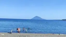 Ngeri, 30 Bangkai Hiu Ditemukan Berserakan di Pantai New Jersey