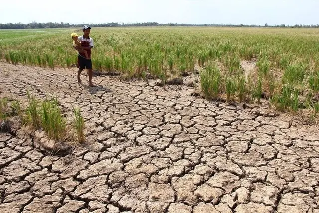 Proyeksi Dampak Ekonomi dan Rantai Pasokan Pangan