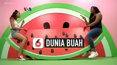 Belajar sambil berinteraksi dengan instalasi seni menarik bisa menjadi motivasi untuk mengenal dunia sekitar, apalagi bila bisa dilakukan sambil mengunggah "selfie" menarik ke Instagram. Itulah yang ditawarkan sebuah museum pop-up di California yang ...