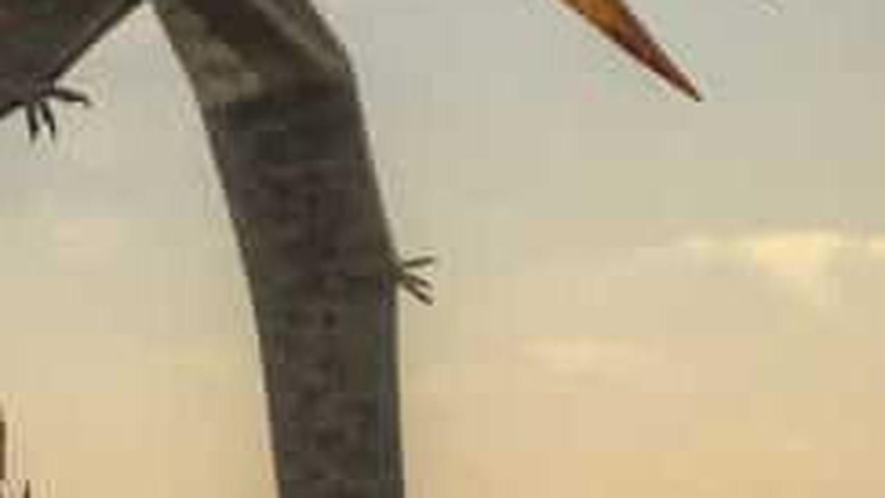 2. Pterosaurus Jadi Spesies Penghuni Setiap Benua<br>