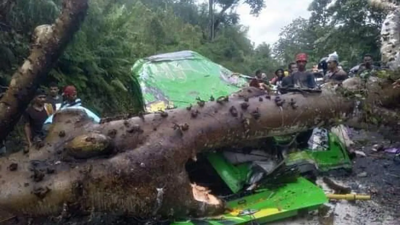 Sebuah mobil minibus ringsek, tertimpa pohon yang tumbang di Desa Solo, Kecamatan Boawae, Kabupaten Nagekeo, NTT. (Foto Istimewah)