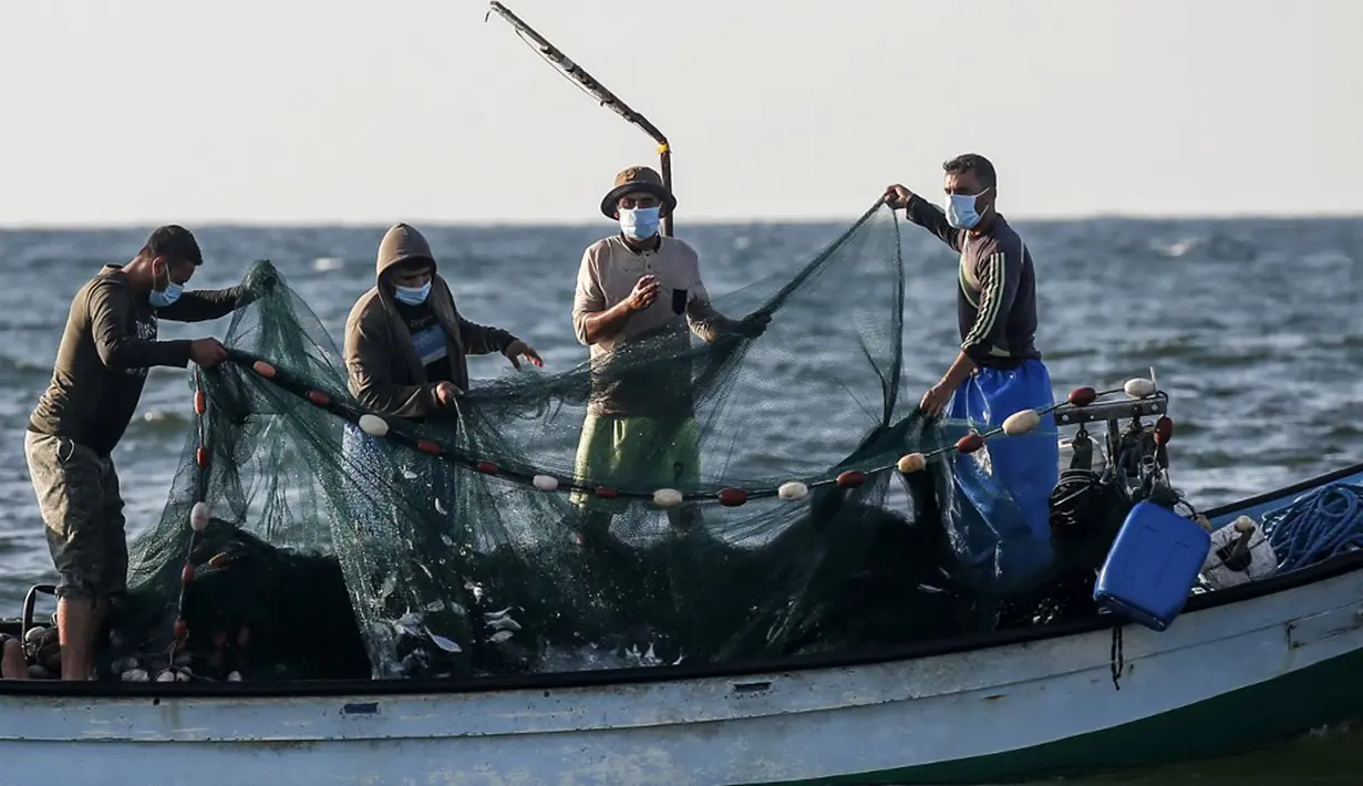 Nelayan Palestina mengumpulkan hasil tangkapan dari jaring saat menangkap ikan di Laut Mediterania, Rafah, Jalur Gaza, Rabu (2/9/2020). (SAID KHATIB/AFP)