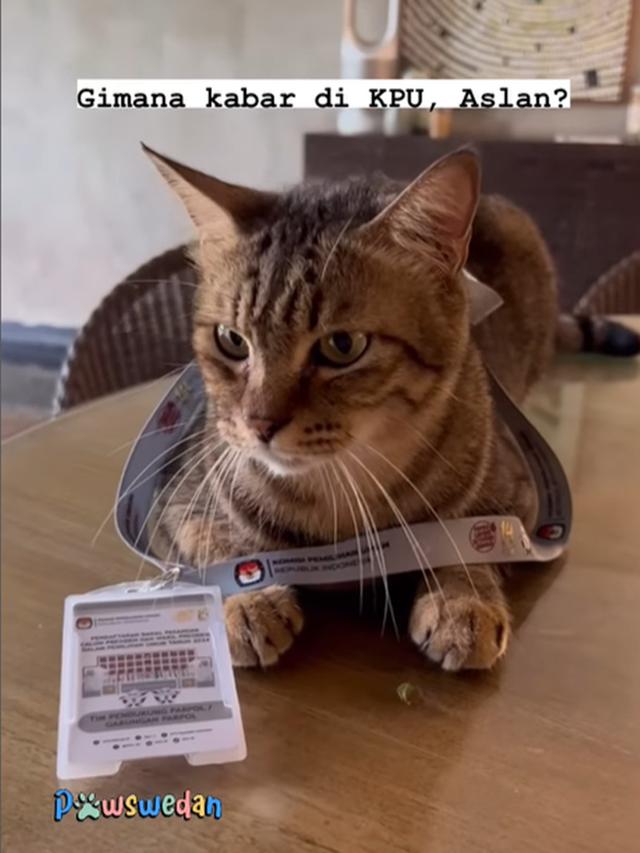 Kucing Anies Baswedan