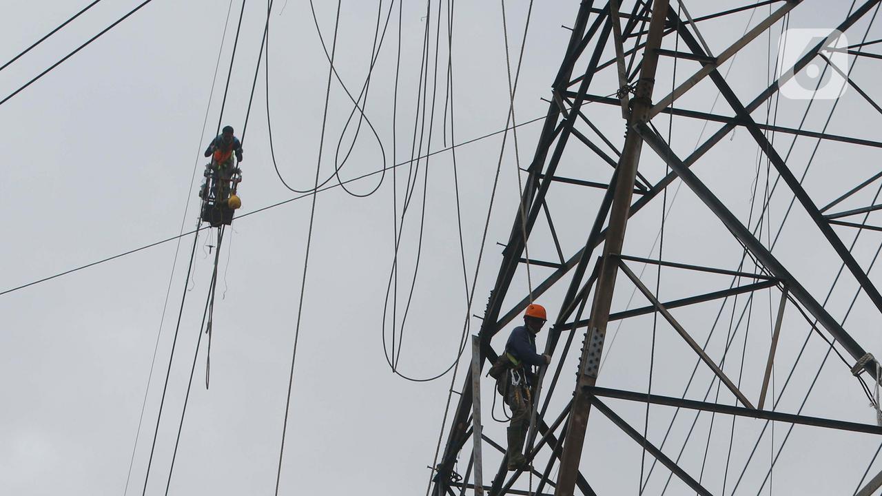 Saat Pasukan Elit PLN Bekerja Diantara Ketinggian dan Tegangan Tinggi