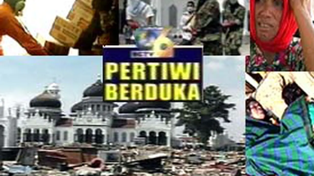 291204cibu.jpg