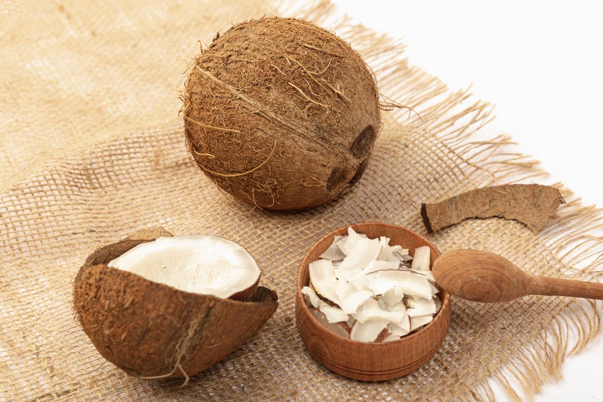 Ilustrasi Daging Kelapa