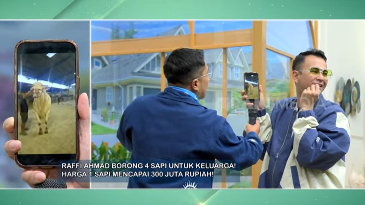 Penampakan Sapi Kurban Nagita Slavina Setinggi Dua Meter, Beda Banget sama Punya Baby Lily yang Kecil Mungil