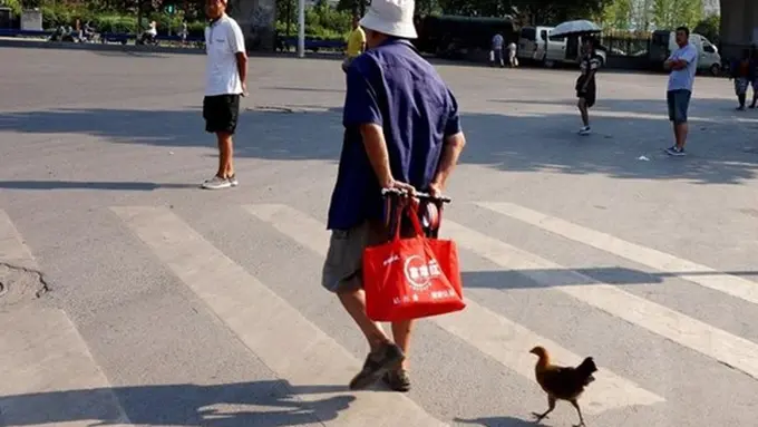 Foto: copyright shanghaiist.com