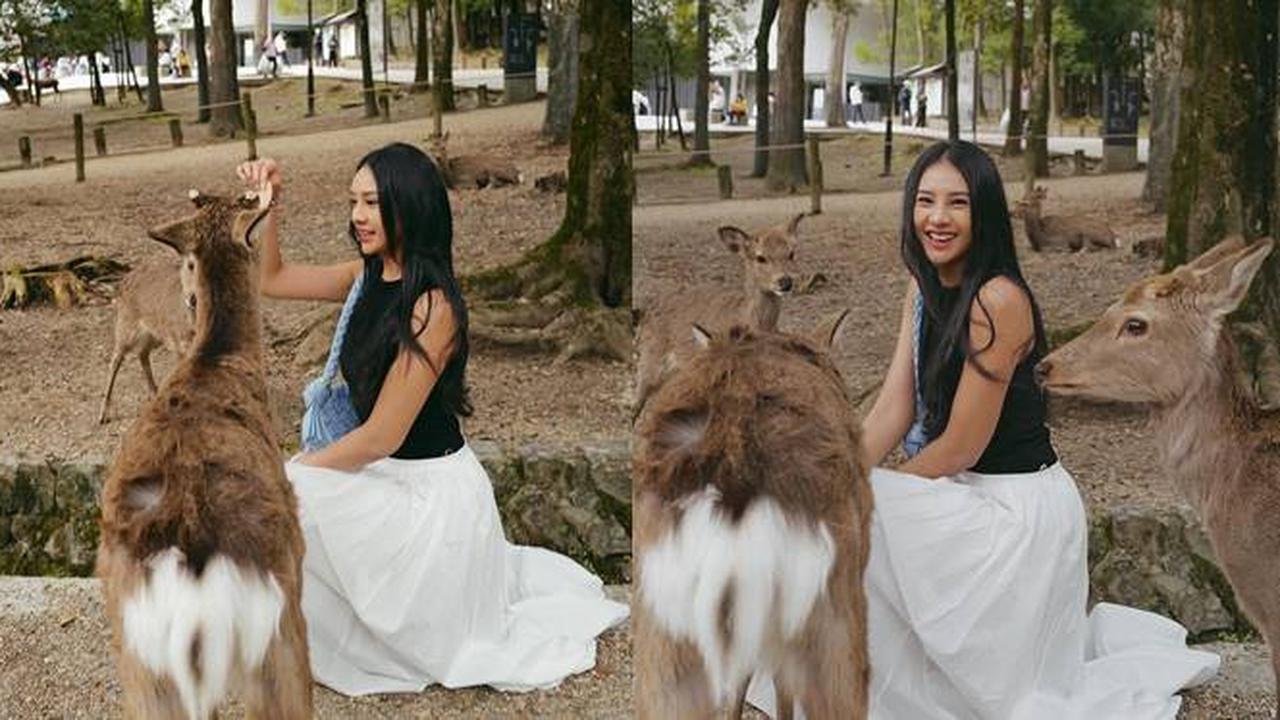 7 Potret Seru Anya Geraldine Main Bareng Rusa di Kota Nara