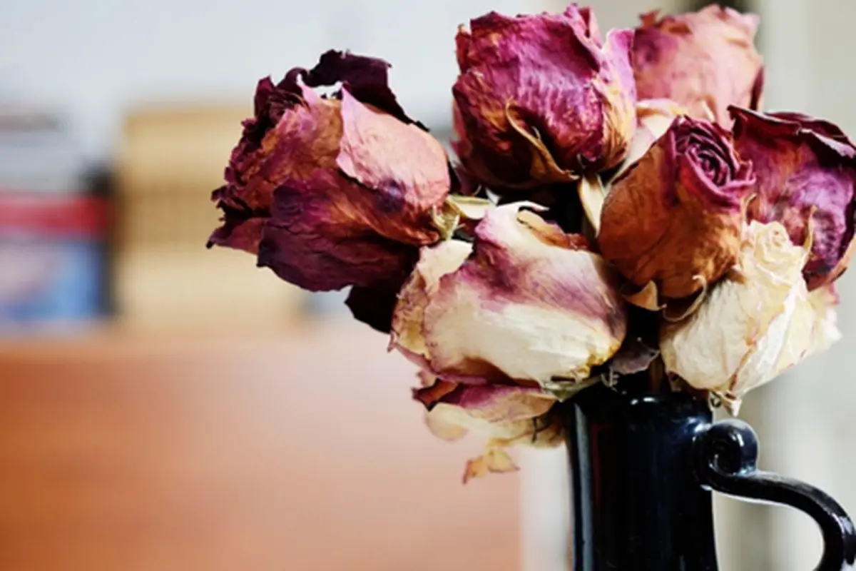 Foto: Copyright ThinkStockPhotos.com