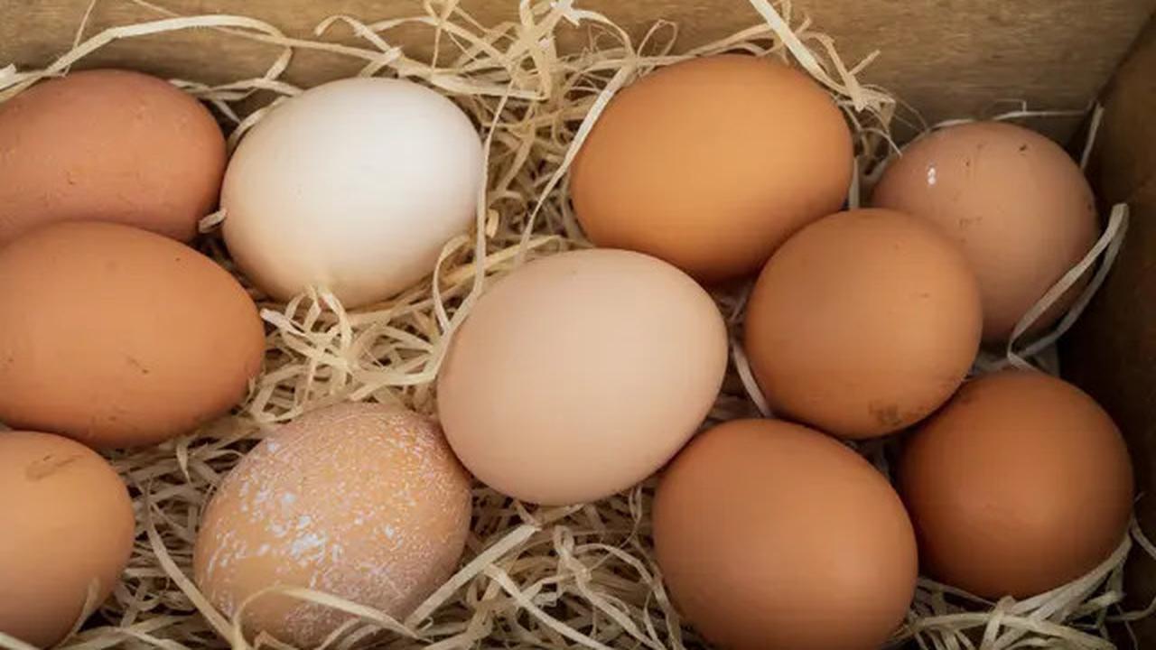 Picu Perdebatan di IG dan TikTok, Apa Telur Ayam Perlu Disimpan di Kulkas atau Tidak?