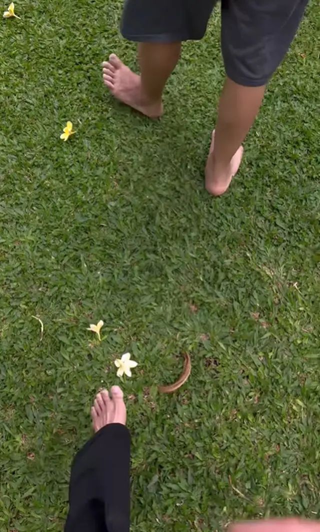 6 Potret sudut taman mini rumah Ari Lasso yang asri, jadi tempat santai favorit bareng kekasih