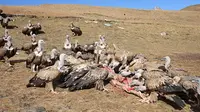 Tradisi pemakaman langit di Tibet hingga saat ini masih terus berjalan.
