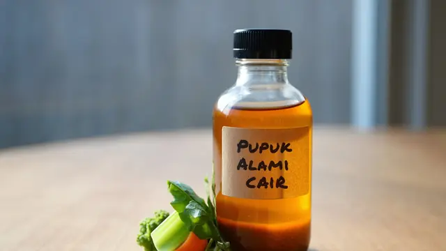 Pupuk Alami Cair/Reve AI