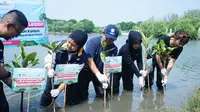 Bukalapak Gandeng Visi Jaya dan Pelindo Tanam Bibit Mangrove di Muara Gembong