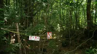 tersesat di Hutan Aokigahara. Source:  Tofugu