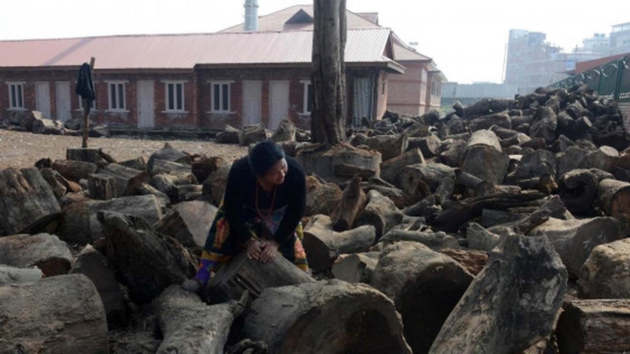 Krisis BBM, pemerintah Nepal jual kayu bakar
