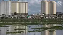 Suasana Waduk Pluit yang dipenuhi eceng gondok, Jakarta, Jumat (22/2). Pendangkalan waduk menyebabkan tanaman eceng gondok tumbuh liar di waduk pluit. (Liputan6.com/Faizal Fanani)