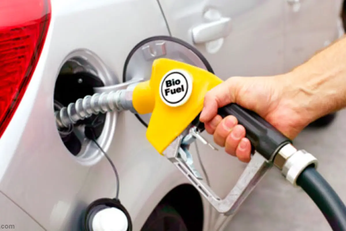 biofuel-130826c.jpg