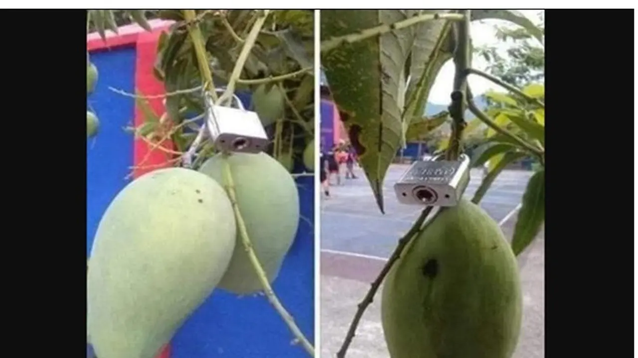 6 Cara Orang Memakai Gembok Ini Bikin Tepuk Jidat