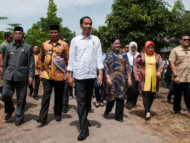 Presiden Joko Widodo (Jokowi) meninjau program padat karya tunai di Desa Pematang Panjang, Kabupaten Banjar, Kalimantan Selatan, Senin (26/3). Jokowi didampingi Gubernur Kalsel H Sahbirin Noor dan Bupati Banjar H Khalilurrahman. (Liputan6.com/Pool)