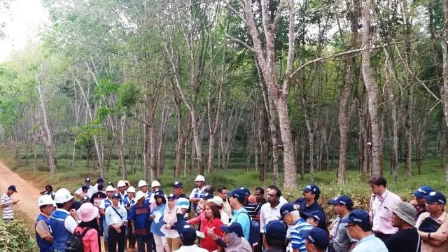 Aspal Karet Berpotensi Dongkrak Konsumsi Karet Mentah Indonesia