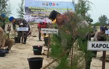 Polda Babel Hijaukan Lahan Bekas Tambang, 28.775 Pohon Ditanam di 145 Hektare