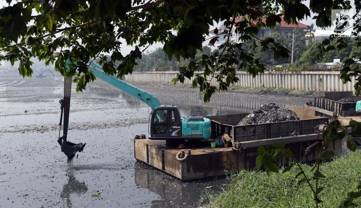 Alat berat milik Pemprov DKI Jakarta melakukan pengerukan endapan lumpur berikut sampah yang ada di Waduk Pluit, Jakarta, Selasa (11/6/2019). Pengerukan ini untuk mencegah terjadinya pendangkalan permukaan waduk. (Liputan6.com/Helmi Fithriansyah)