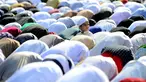 Seorang bocah malah asyik melihat sesuatu saat seluruh jamaah melakukan sujud, Hyderabad, India, Senin (6/10/2014) (AFP Photo/Noah SEELAM) 