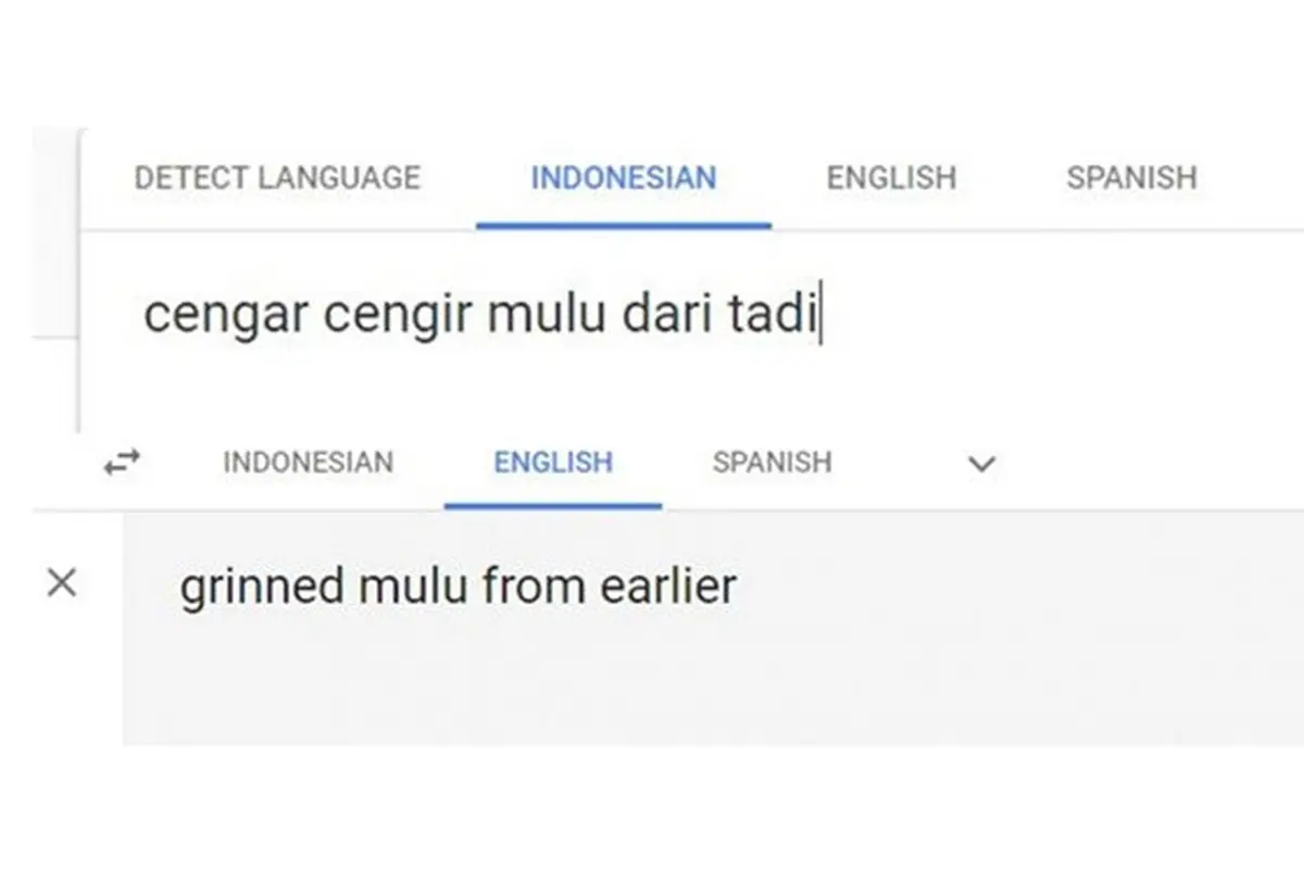6 Terjemahan Google Translate dari Bahasa Indonesia ke Inggris Ini Nyeleneh