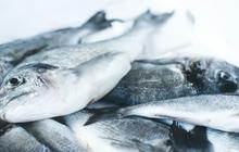 7 Cara Membersihkan Ikan Laut agar Tidak Bau Tanpa Perlu Bahan Mahal, Praktis dan Sat Set