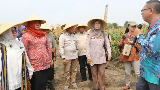 Tarik Minat Investor Pertanian, Kementan Tingkatkan Kemudahan Berusaha