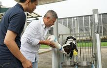 Gading Marten Beri Nama Seekor Sapi saat Kunjungi Peternakan di Garut, Telepon Gempi Buat Minta Pendapat