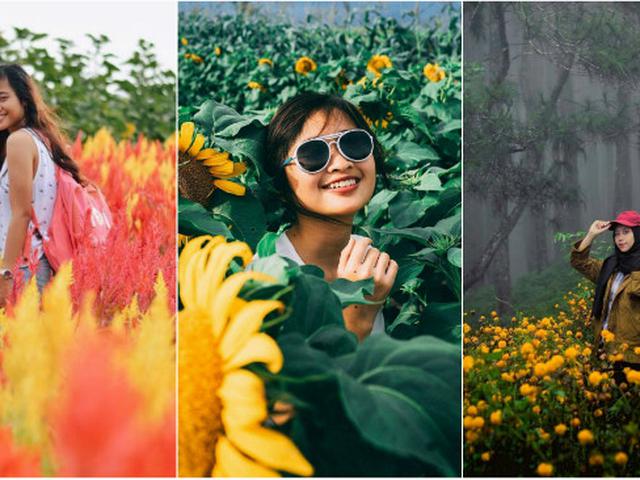 5 Kebun Bunga Instagramable Di Yogyakarta Yuk Ke Sana Citizen6 Liputan6 Com