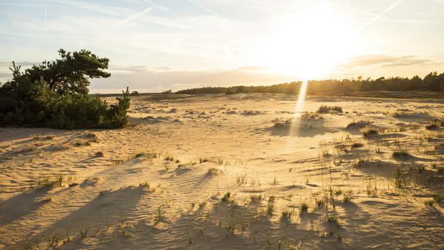 Hoge Veluwe National Park