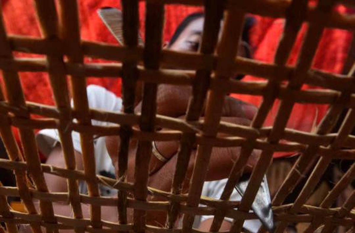 Mengais rejeki dari rotan
